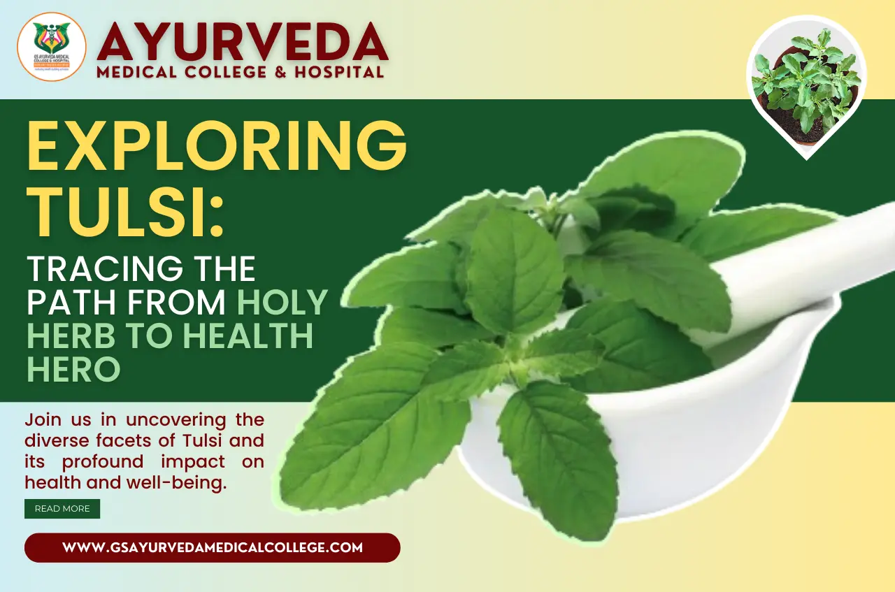 Exploring Tulsi: Tracing the Path from Holy Herb to Health Hero 