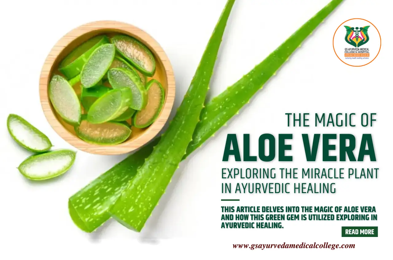 The Magic of Aloe Vera: Exploring the Miracle Plant in Ayurvedic Healing